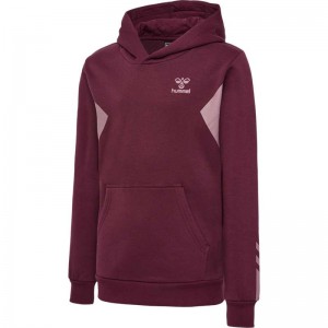 Hummel Active Co Hoodie Kinderen Bordeaux | 400458-821