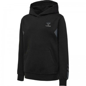 Hummel Active Co Hoodie Kinderen Zwart | 782966-750