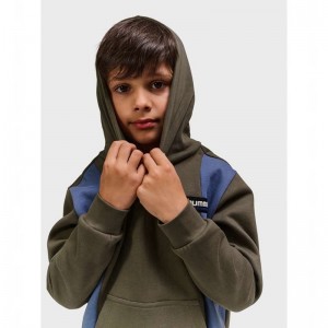 Hummel Allton Hoodie Kinderen Bruin | 730977-679