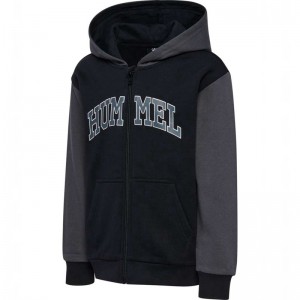 Hummel Alvin Hoodie Kinderen Zwart | 357348-741