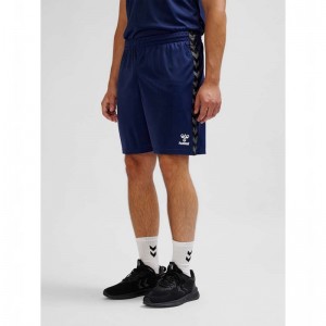 Hummel Authentic Pl T-shirts Heren Donkerblauw | 141744-132