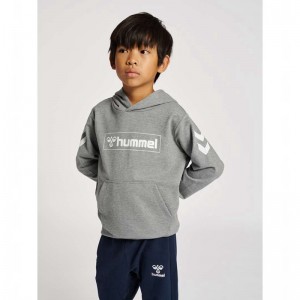 Hummel Box Hoodie Kinderen Grijs | 169769-269