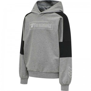 Hummel Boxline Hoodie Kinderen Grijs | 730110-038