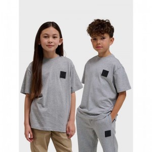 Hummel Clean S/S T-shirts Kinderen Grijs | 346820-279