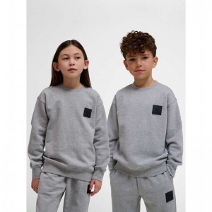 Hummel Clean Sweatshirts Kinderen Grijs | 432423-589