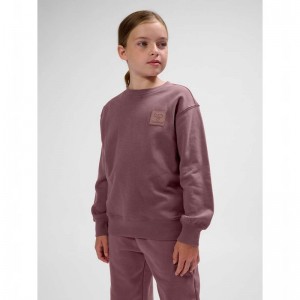 Hummel Clean Sweatshirts Kinderen Roze | 657835-742
