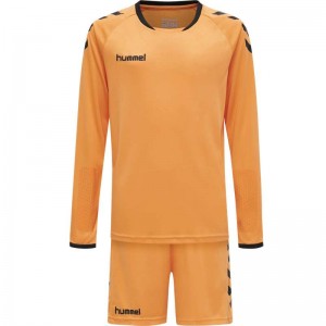 Hummel Core Gk Sets Kinderen Oranje | 162852-645
