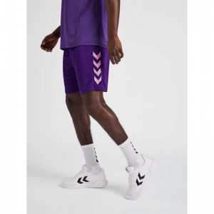 Hummel Core Xk Poly Korte Broek Heren Paars | 894160-976