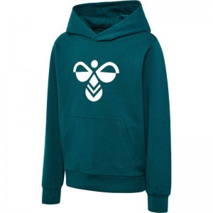 Hummel Cuatro Hoodie Kinderen Groen | 919776-040