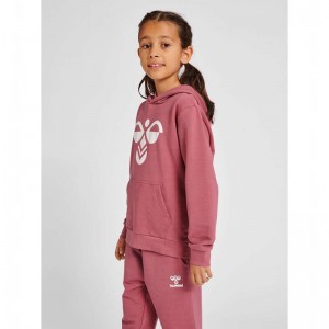 Hummel Cuatro Hoodie Kinderen Roze | 641618-765