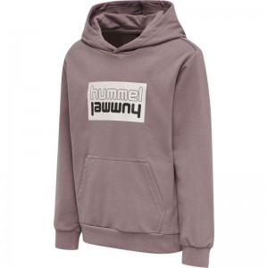 Hummel Duo Hoodie Kinderen Roze | 809610-186