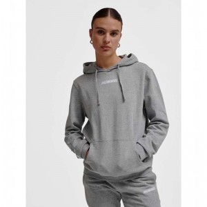 Hummel Elemental Hoodie Heren Grijs | 353650-319
