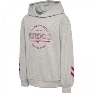 Hummel Elena Hoodie Kinderen Grijs | 425188-029