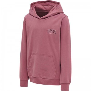 Hummel Fast Hoodie Kinderen Roze | 453115-119