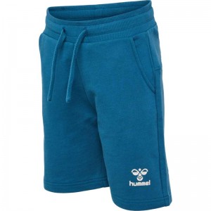 Hummel Flow Korte Broek Kinderen Blauw | 840522-345