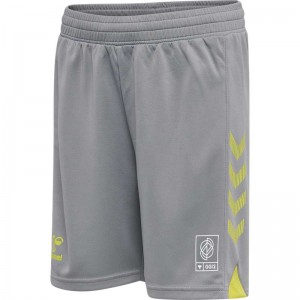 Hummel Gg12 Action Korte Broek Kinderen Grijs | 782329-906