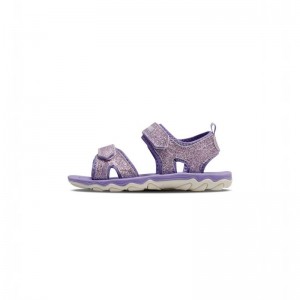 Hummel Glitter Jr Hoodie Kinderen Paars | 325187-655