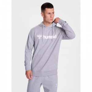 Hummel Go 2.0 Logo Hoodie Heren Grijs | 338927-399