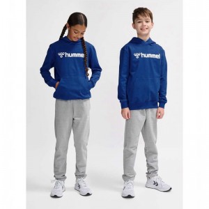 Hummel Go 2.0 Logo Hoodie Kinderen Blauw | 116481-086