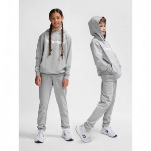 Hummel Go 2.0 Logo Hoodie Kinderen Grijs | 450375-960