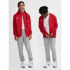 Hummel Go 2.0 Zip Hoodie Kinderen Rood | 131047-436