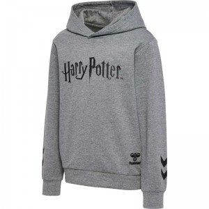 Hummel Harry Potter Hoodie Kinderen Grijs | 414645-013