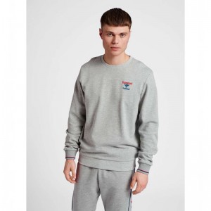 Hummel Ic Dayton Sweatshirts Heren Grijs | 014026-080