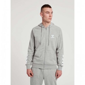 Hummel Isam 2.0 Zip Hoodie Heren Grijs | 702159-691