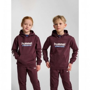 Hummel Jr Logo Hoodie Kinderen Bordeaux | 759227-359