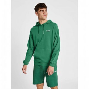 Hummel Lgc Gabe Hoodie Heren Groen | 993711-774