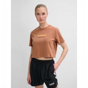 Hummel Lgc Malu Cropped T-shirts Dames Bruin | 218217-203