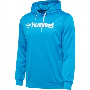 Hummel Logo Hoodie Heren Blauw | 307954-841
