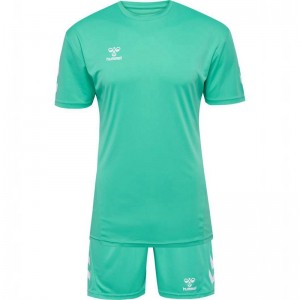 Hummel Logo Sets Heren Groen | 010370-078