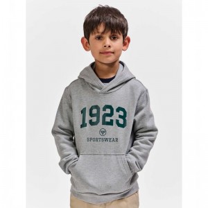 Hummel Nipps Hoodie Kinderen Grijs | 748617-625