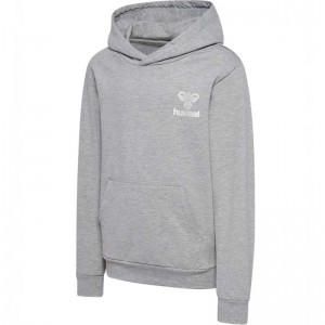 Hummel Proud Hoodie Kinderen Grijs | 866846-137