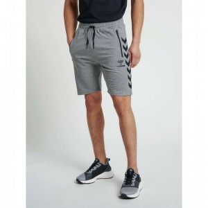 Hummel Ray 2.0 Korte Broek Heren Grijs | 499831-485
