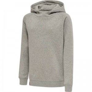 Hummel Red Classic Hoodie Kinderen Grijs | 520805-138