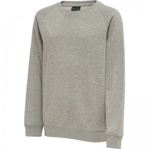 Hummel Red Classic Hoodie Kinderen Grijs | 367247-936