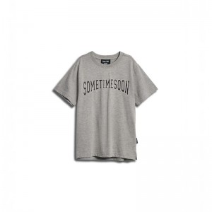 Hummel Stsocean S/S T-shirts Kinderen Grijs | 660871-334