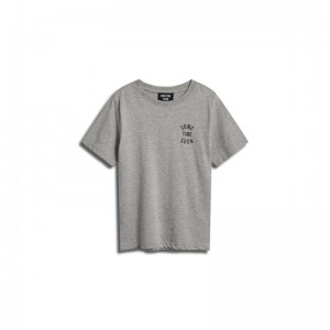 Hummel Stsrevolution S/S T-shirts Kinderen Grijs | 917236-491