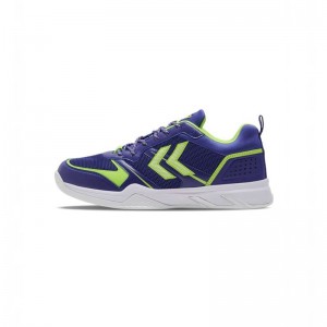 Hummel Teiwaz 2.0 Handbalschoenen Heren Blauw | 622440-933