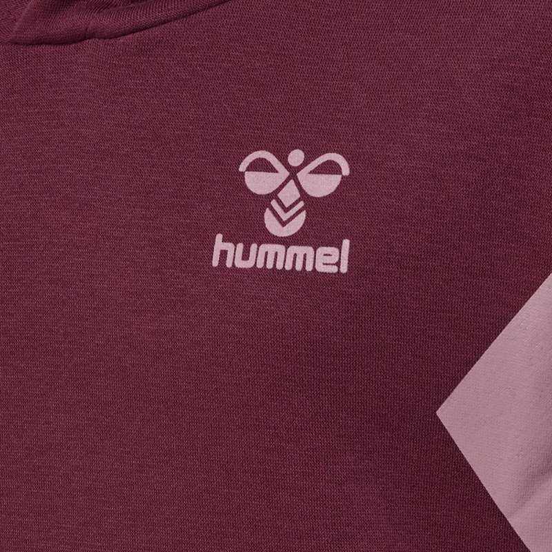Hummel Active Co Hoodie Kinderen Bordeaux | 400458-821