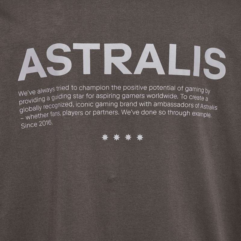 Hummel Astralis 24 Fan 2016 Loose Ls T-shirts Heren Chocola | 524429-734