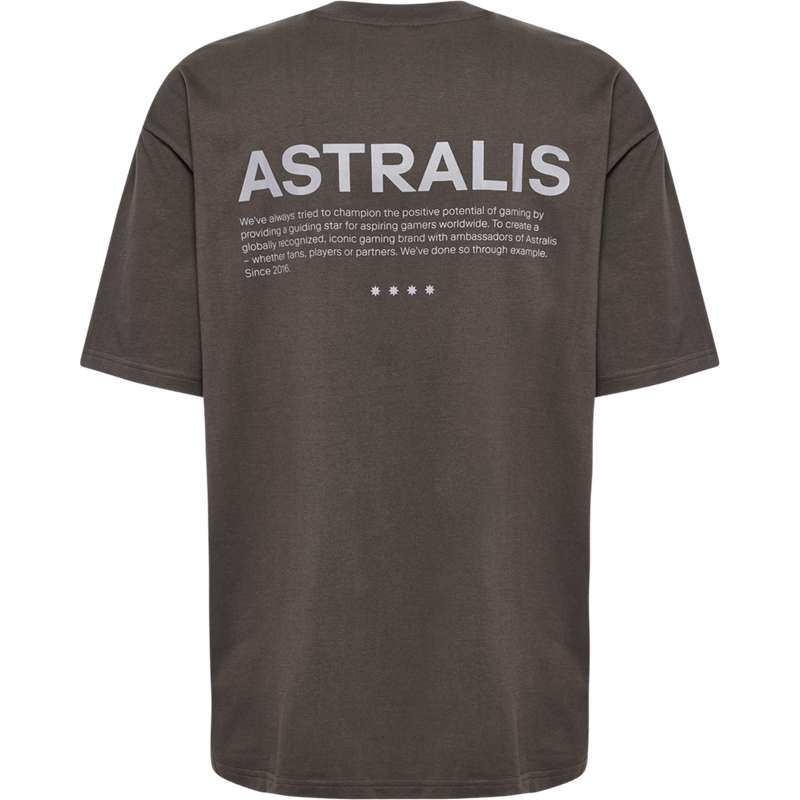 Hummel Astralis 24 Fan 2016 Loose Ss T-shirts Heren Chocola | 885490-653