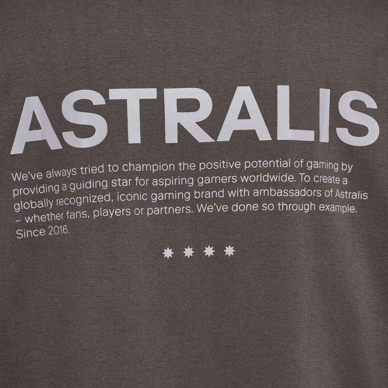 Hummel Astralis 24 Fan 2016 Loose Ss T-shirts Heren Chocola | 885490-653