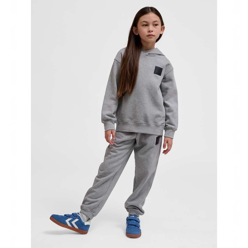 Hummel Clean Hoodie Kinderen Grijs | 946551-118