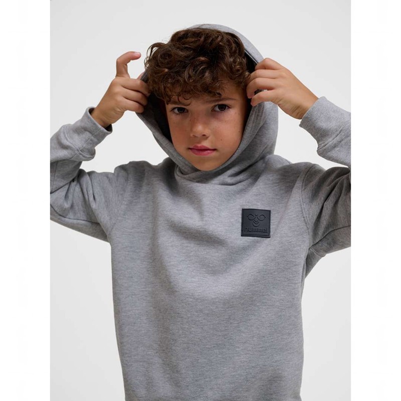 Hummel Clean Hoodie Kinderen Grijs | 946551-118