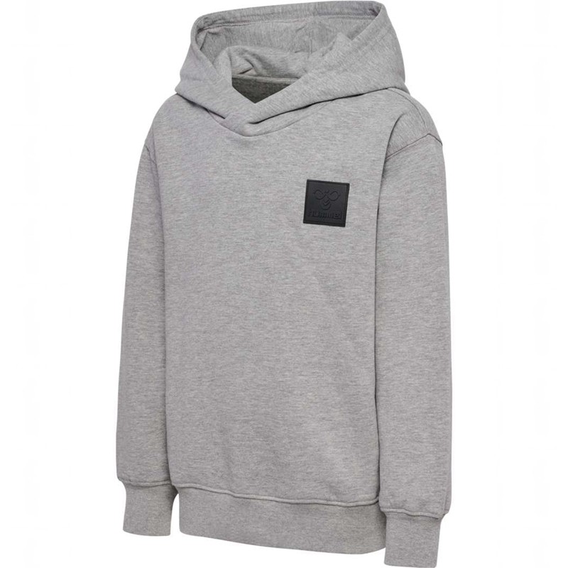 Hummel Clean Hoodie Kinderen Grijs | 946551-118