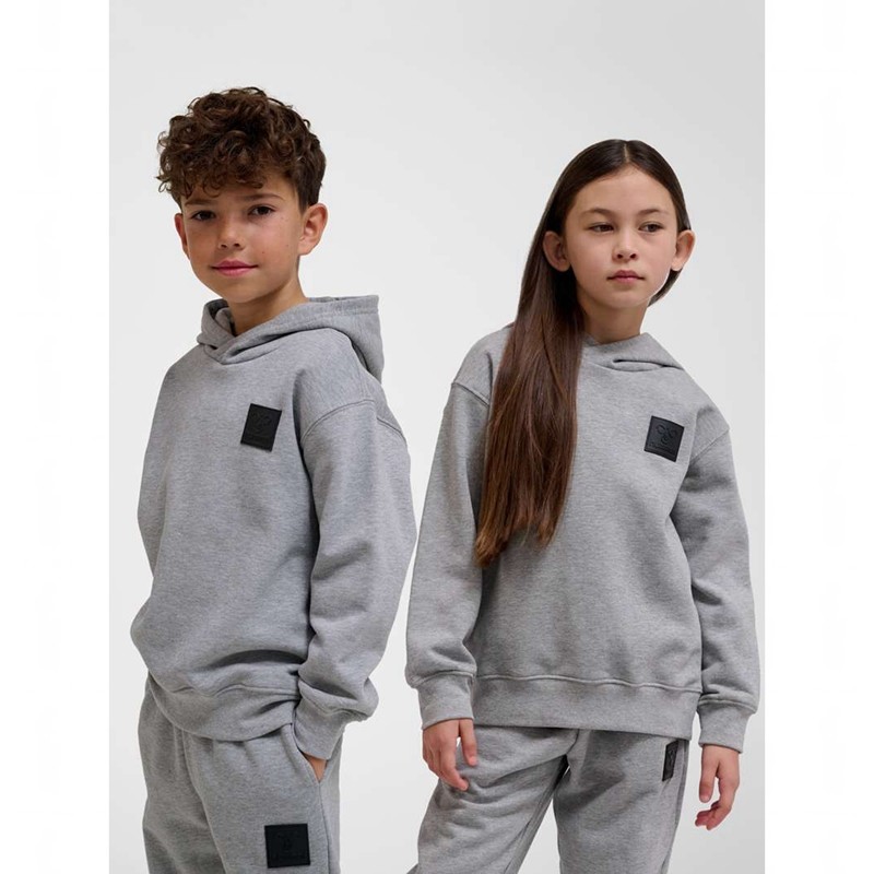 Hummel Clean Hoodie Kinderen Grijs | 946551-118
