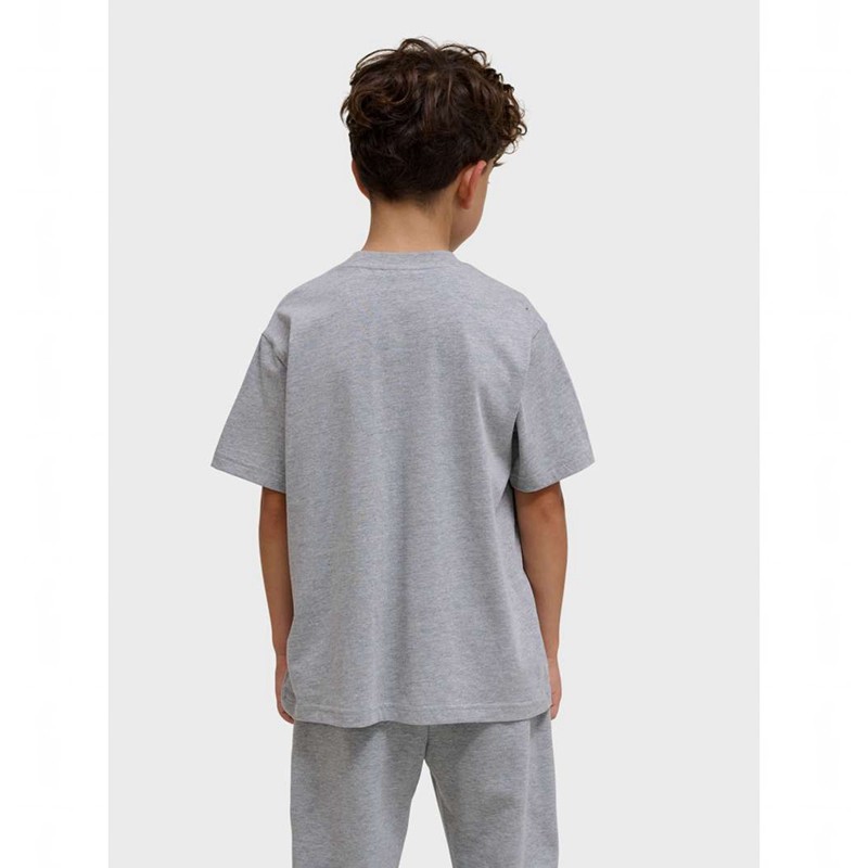 Hummel Clean S/S T-shirts Kinderen Grijs | 346820-279